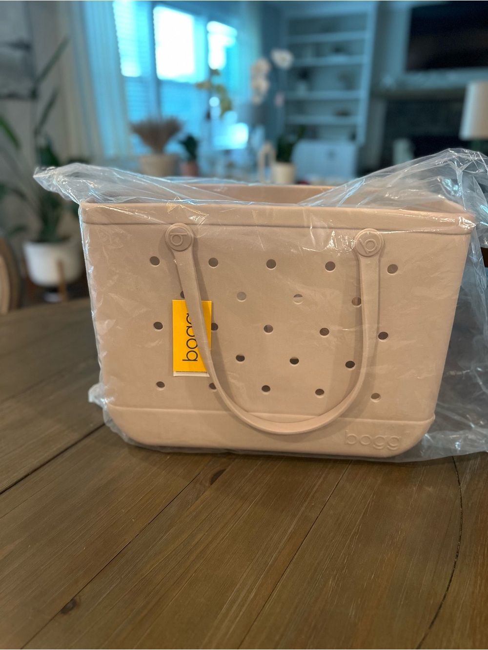 BOGG BAG Small Tote in Beige/Nude